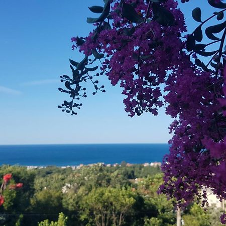 Vila Pogled Petrovac Eksteriør bilde