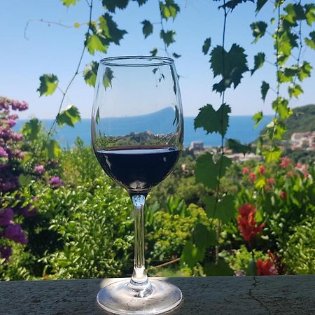 Vila Pogled Petrovac Eksteriør bilde