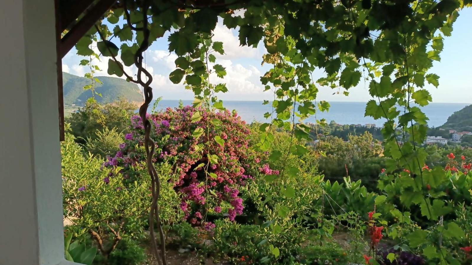 Vila Pogled Petrovac Eksteriør bilde