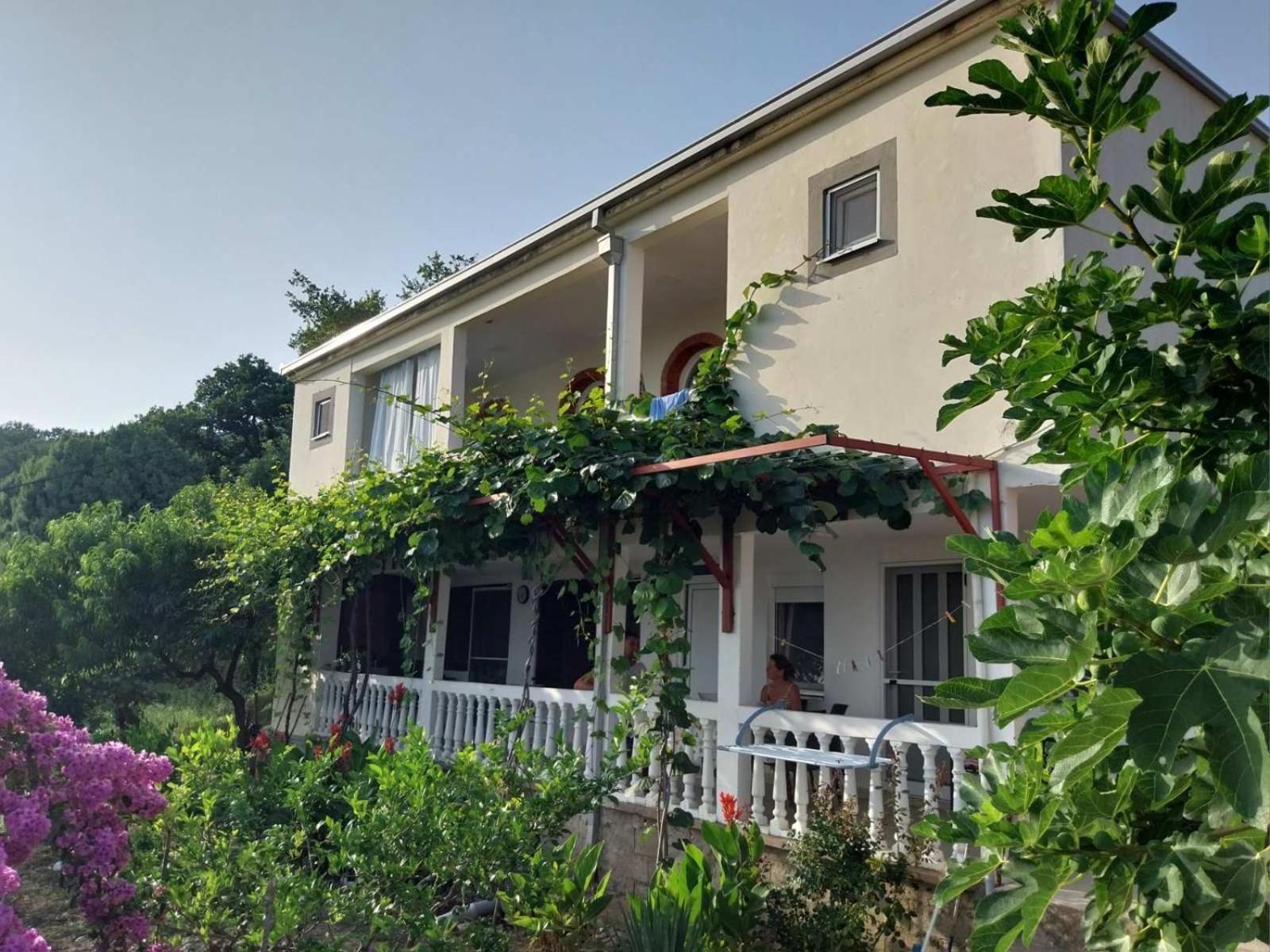 Vila Pogled Petrovac Eksteriør bilde