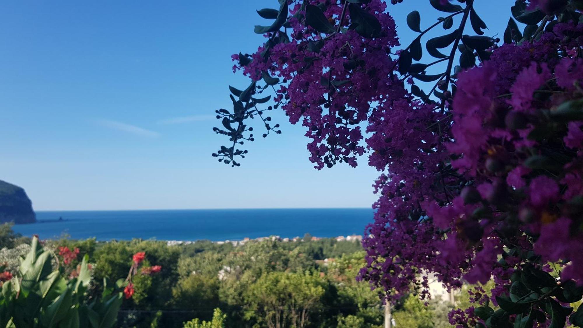 Vila Pogled Petrovac Eksteriør bilde