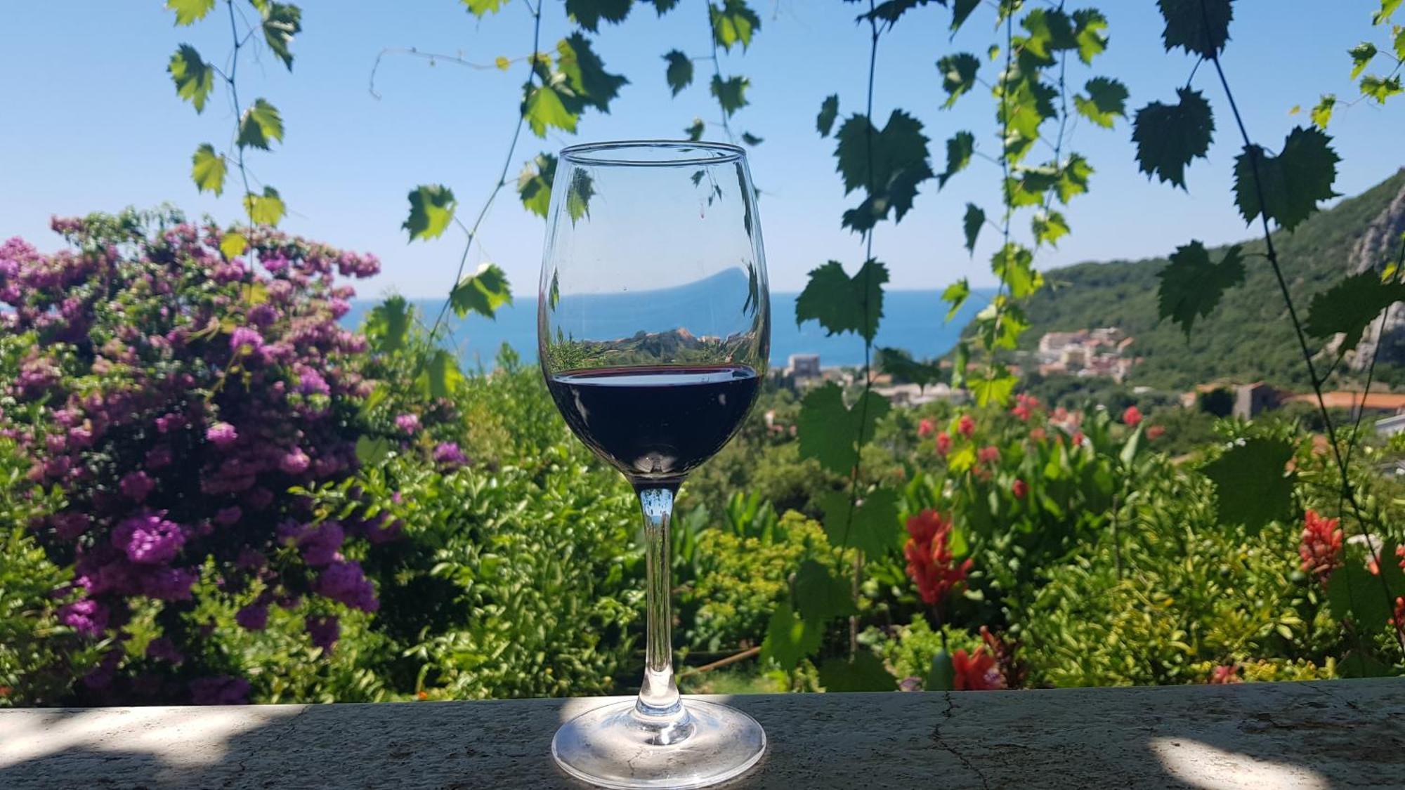 Vila Pogled Petrovac Eksteriør bilde