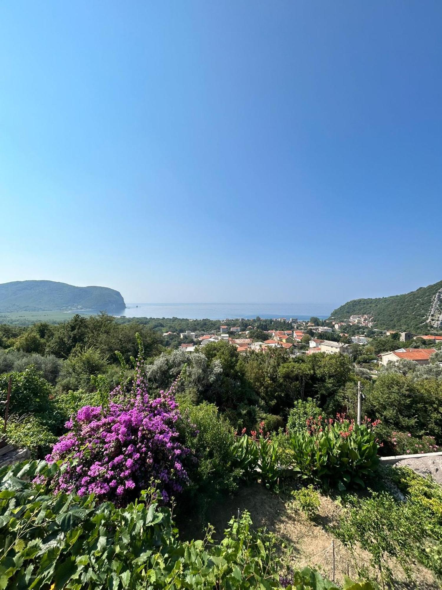 Vila Pogled Petrovac Eksteriør bilde